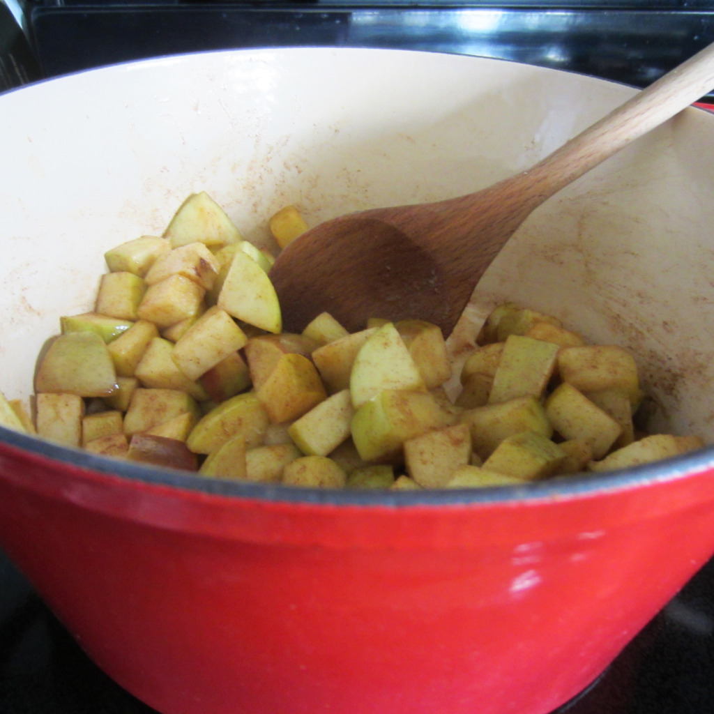 Easy Fried Apples Recipe