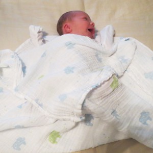 swaddle 3