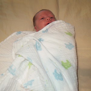 swaddle 4