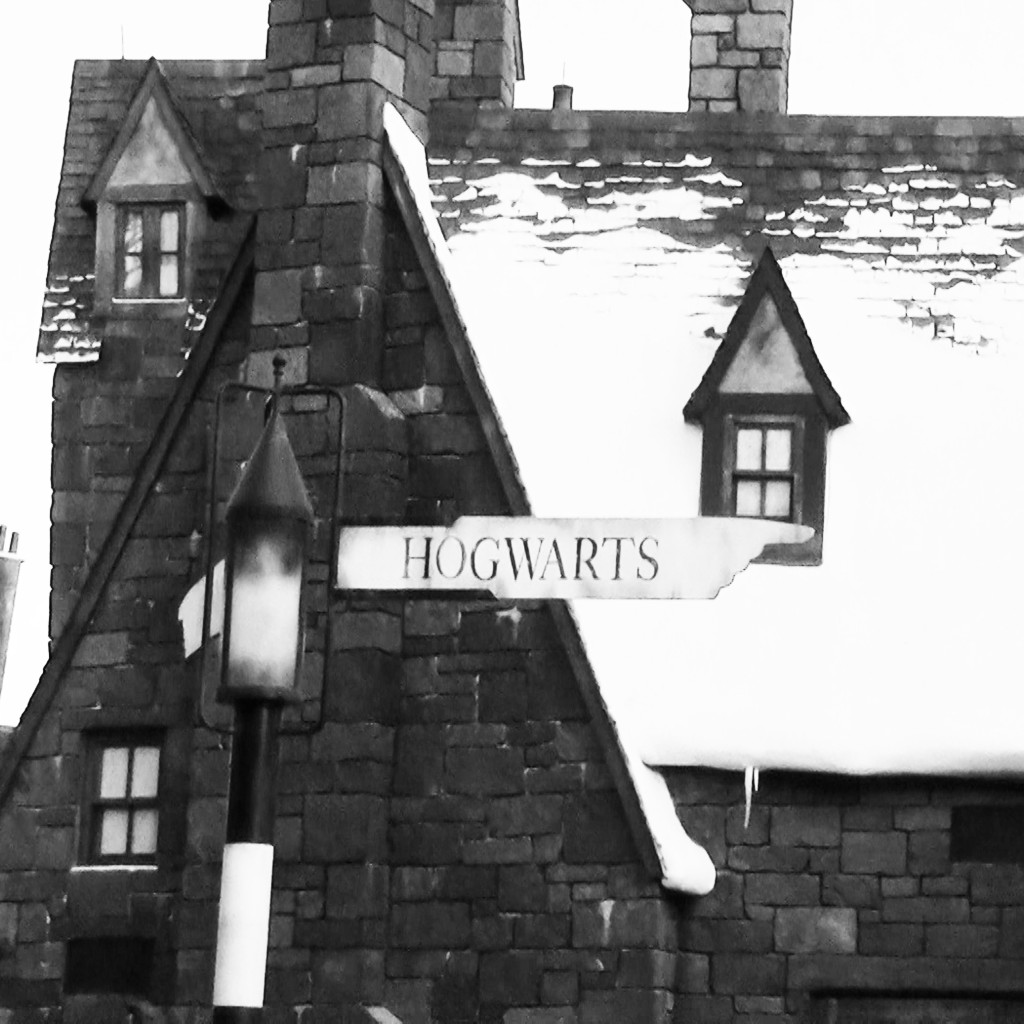 Harry Potter World Orlando Review