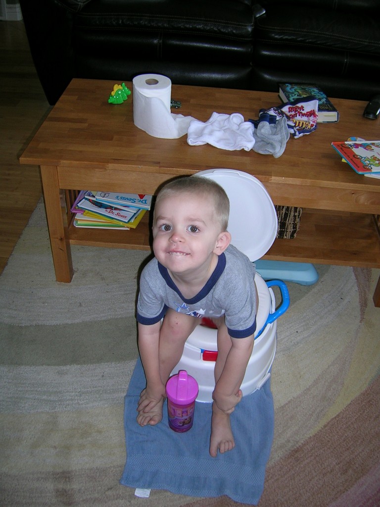 How To Potty Train A Toddler In A Day at Arica Gilmore blog