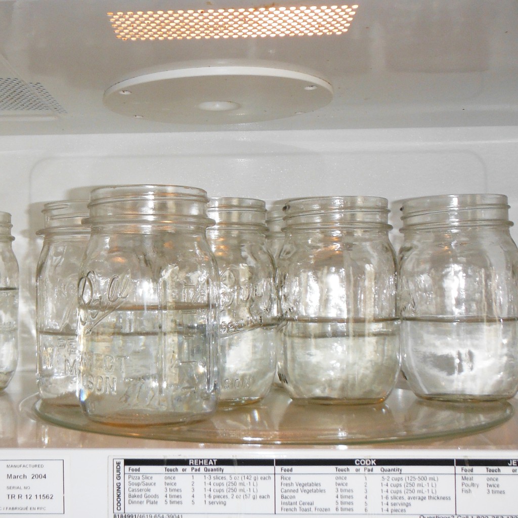 How to Make Applesauce for Canning (Skins On!)