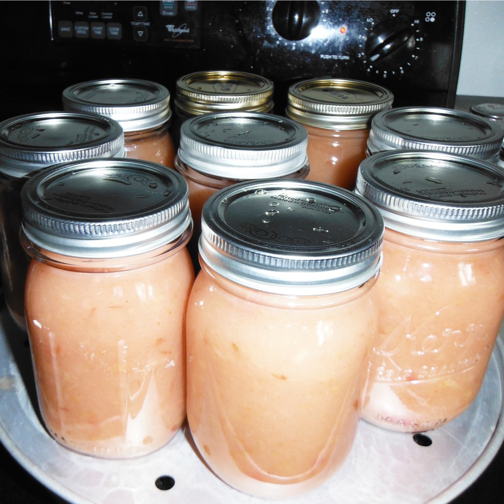 How to Make Applesauce for Canning (Skins On!)