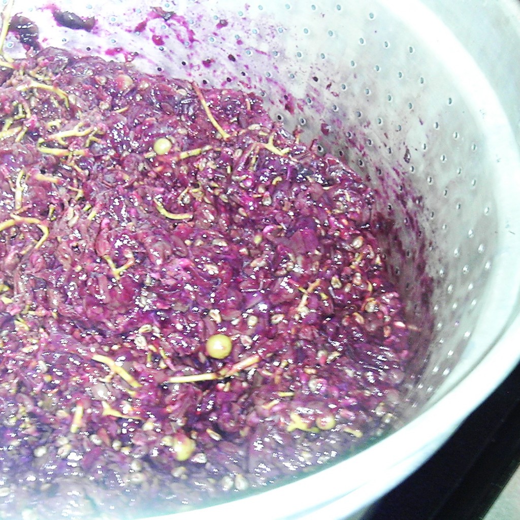 How to Can Grape Juice