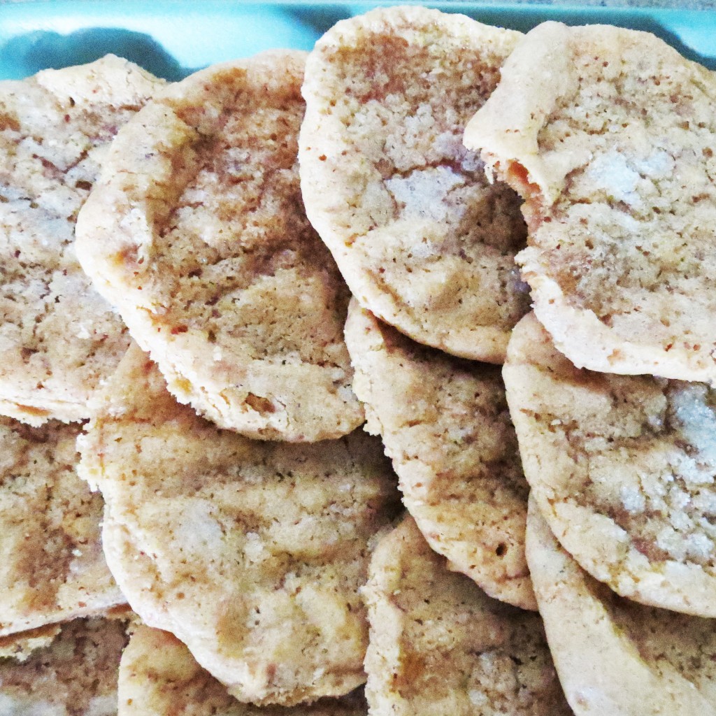 Flourless Peanut Butter Cookies Recipe (GFDF)