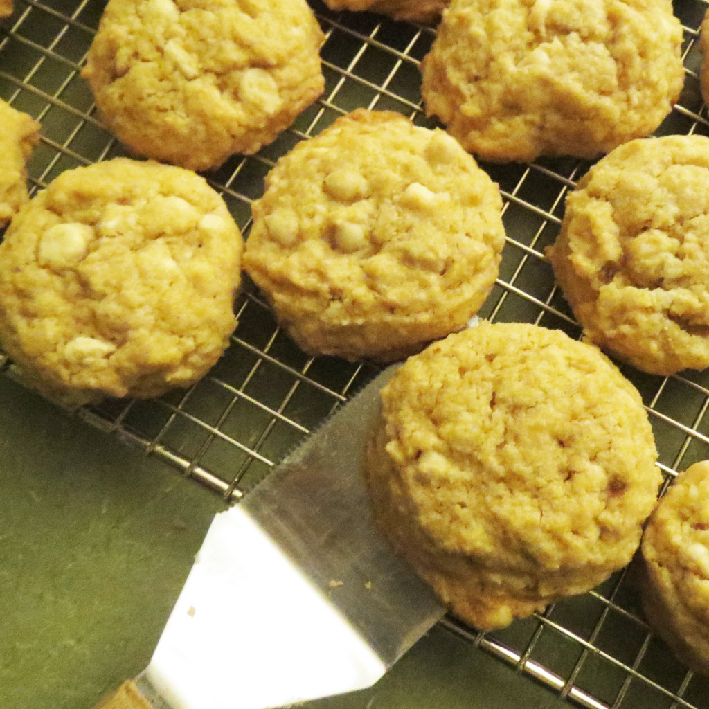 gluten free dairy free white chocolate chip cookies Archives Positively Mommy